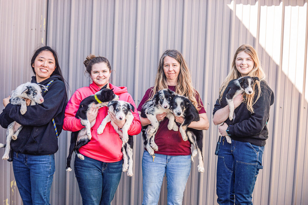 four animal care staff show off our mission by caring for a litter of 6 black and white puppies
