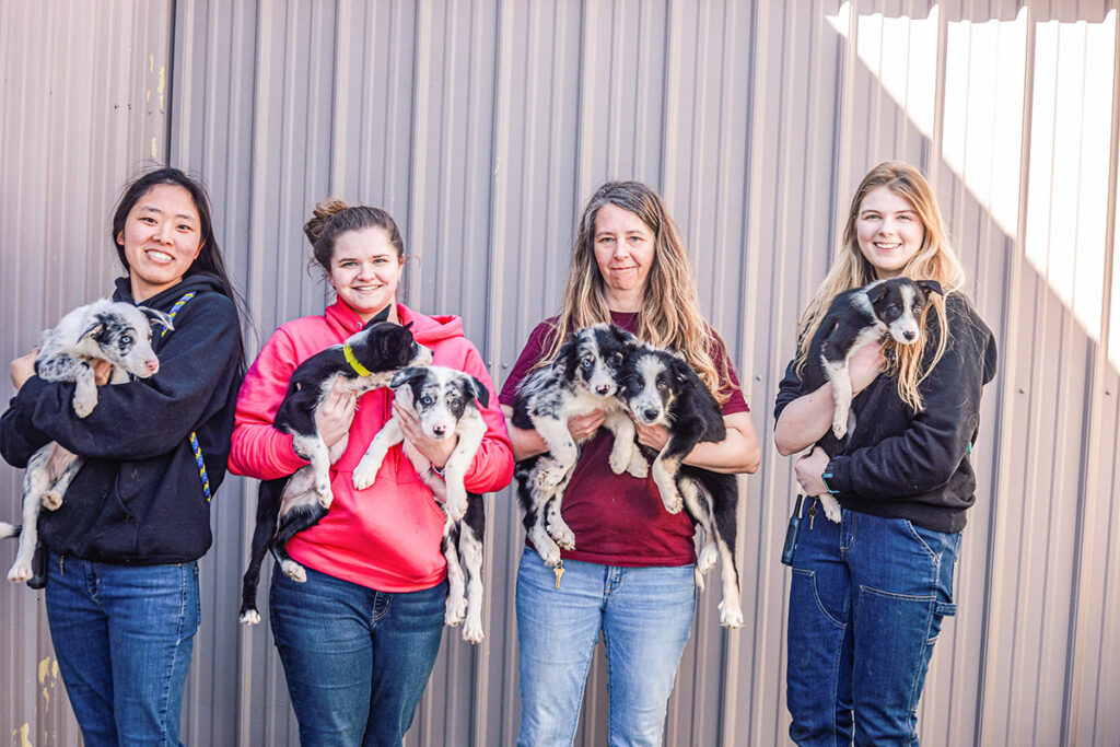 four animal care staff show off aws' mission by caring for a litter of 6 black and white puppies