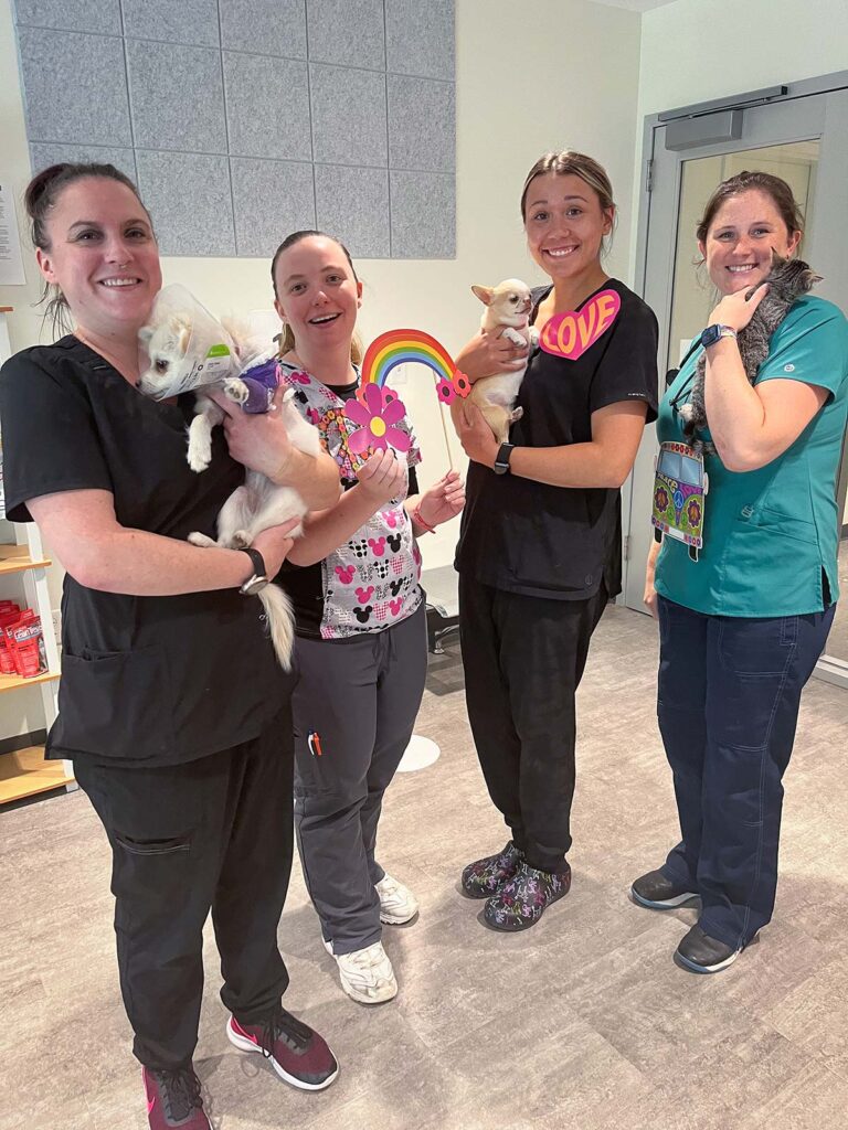 Four veterinary staff members smile while holding dogs and cats recovering from surgery