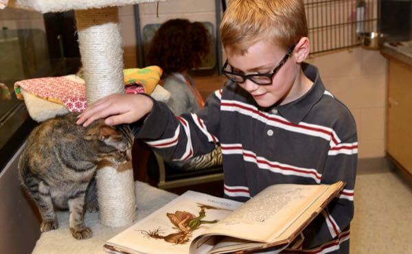 child in black glasses reads a book while petting a brown cat