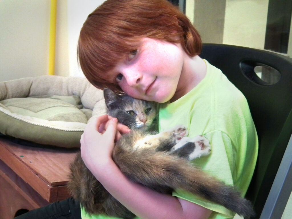 child in green shirt relaxes and holds a gray kitten during a youth program