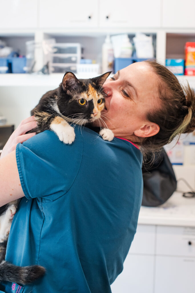 veterinary staff hugs and smiles at tortoiseshell cat