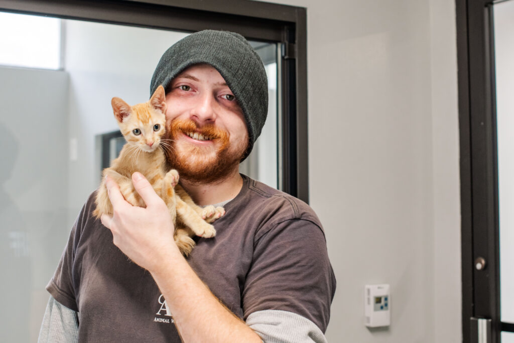 male staff member in green hat smiles and holds tiny orange kitten