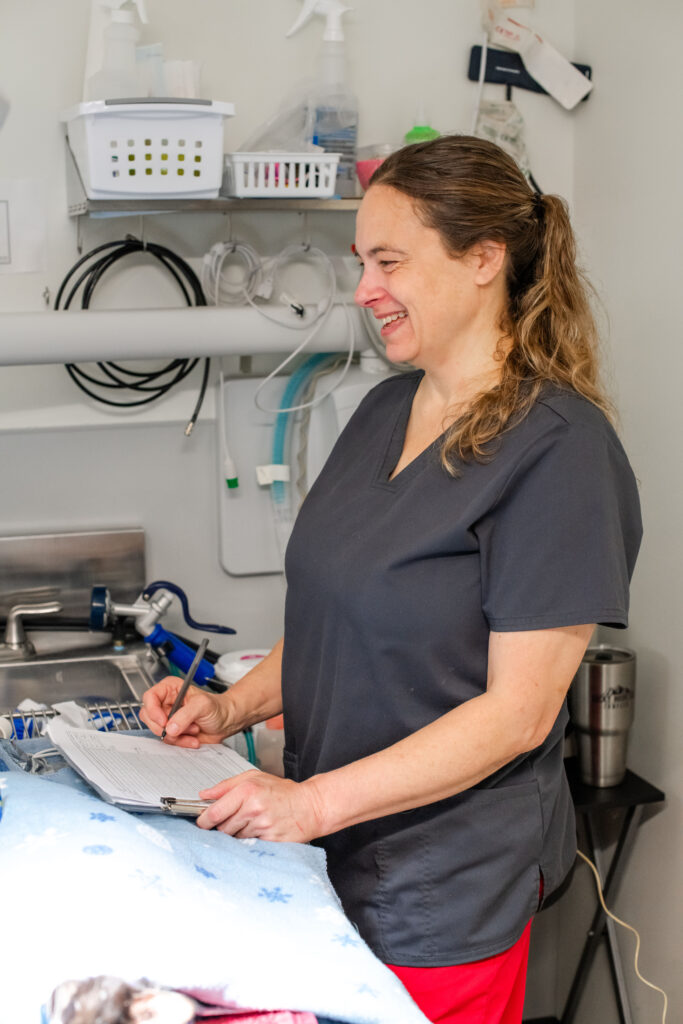 licensed veterinary technician in gray scrubs fills out paperwork during a clinic procedure