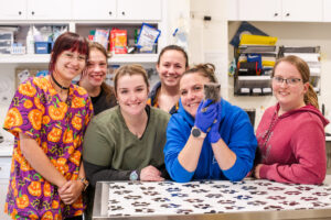 veterinary staff members smile while posing with a tiny baby kitten