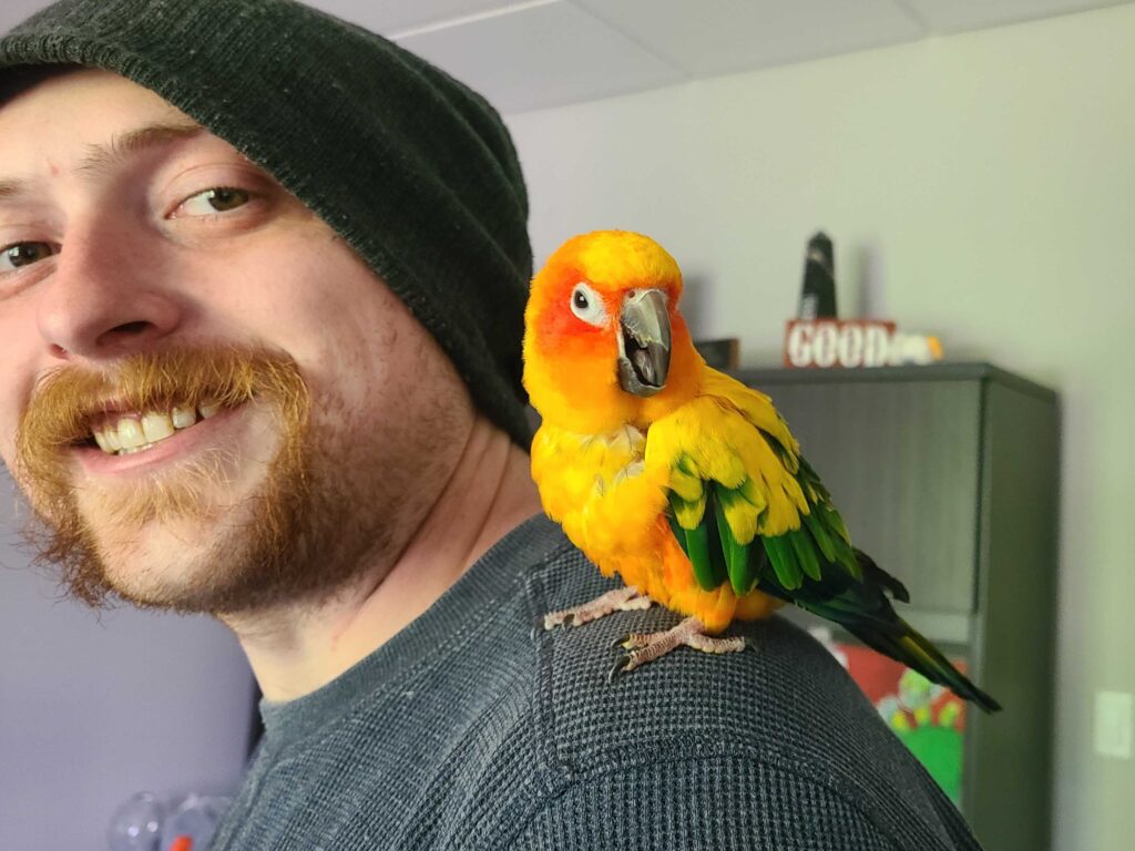 man with red mustache smiles while a bright colored small parrot sits on his shoulder