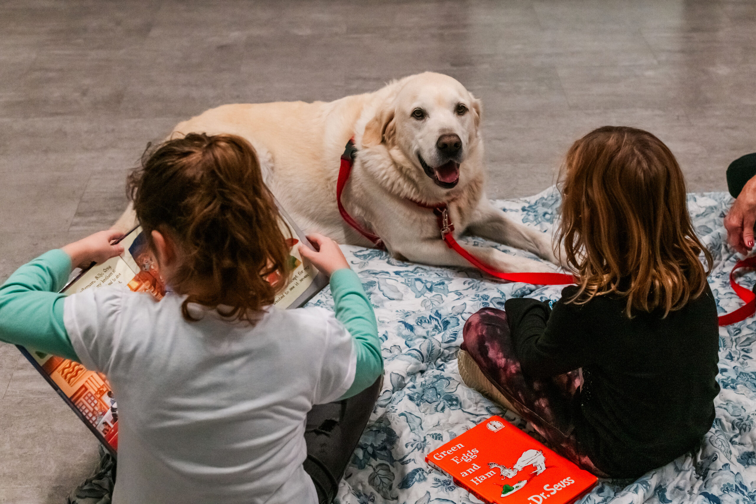 children read to a yellow dog