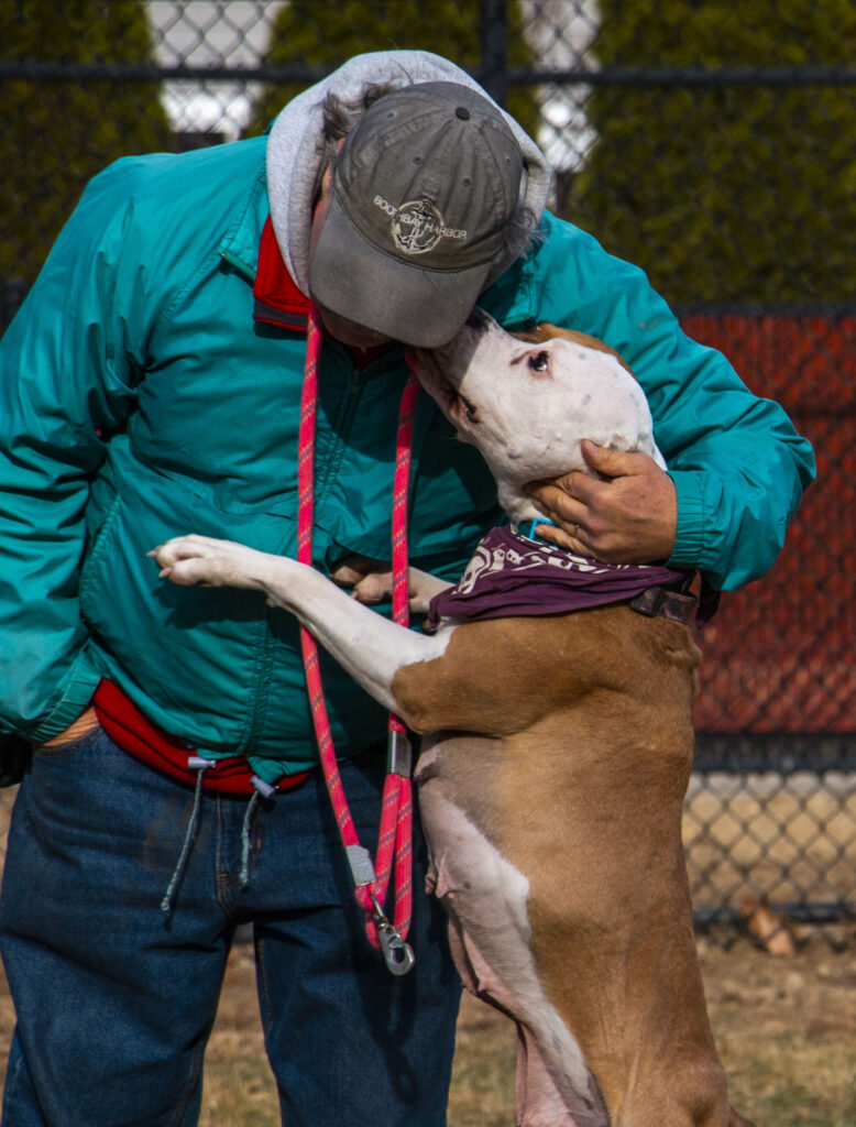 dog leans into man wearing a baseball cap