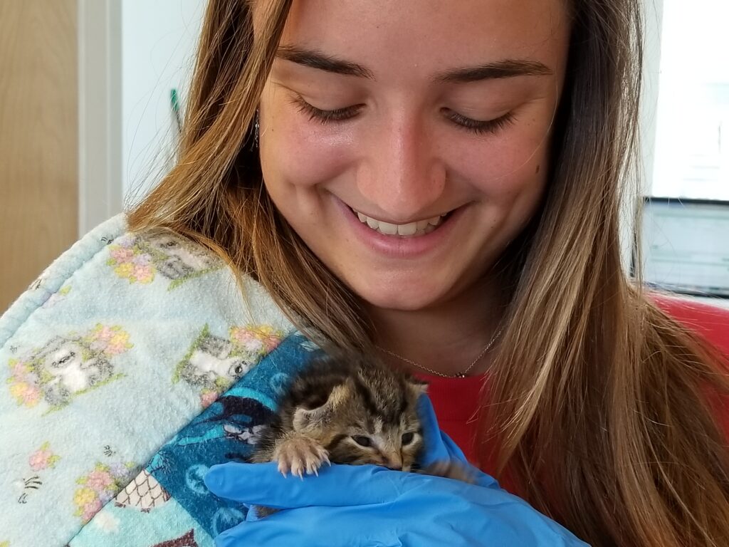 female volunteer holds and smiles down at a tiny kitten