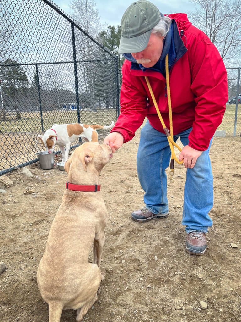 man with baseball cap and red coat feeds a treat to a tan dog in red collar