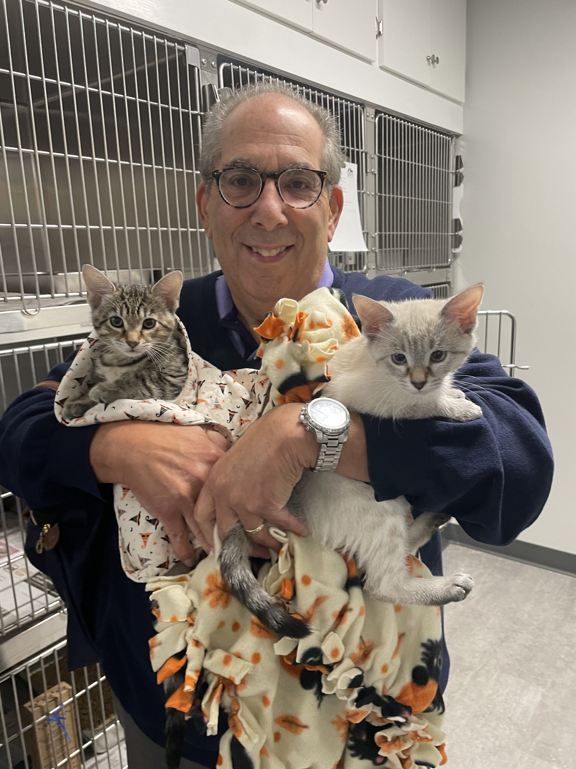 A man with glasses holds two kittens wrapped in a blanket white standing in the Adoption room
