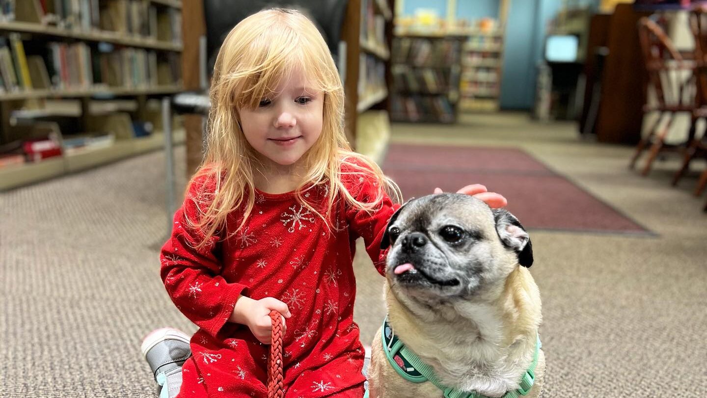 A little girl pets a small dog on the floor in the library.
