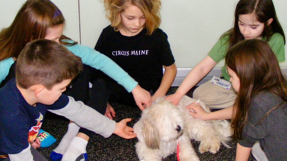 A group of young children sit around a small, fluffy dog and pet it.