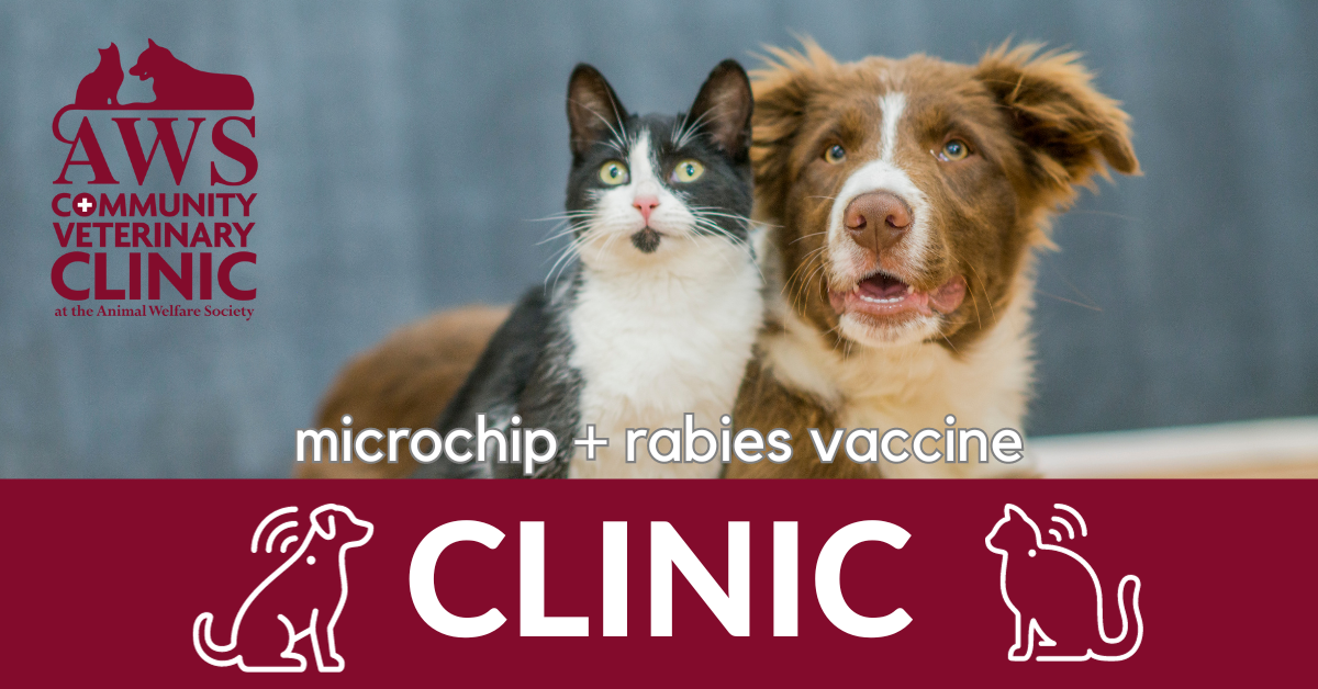 An AWS banner for a vaccine clinic featuring a dog and a cat sitting next to each other.