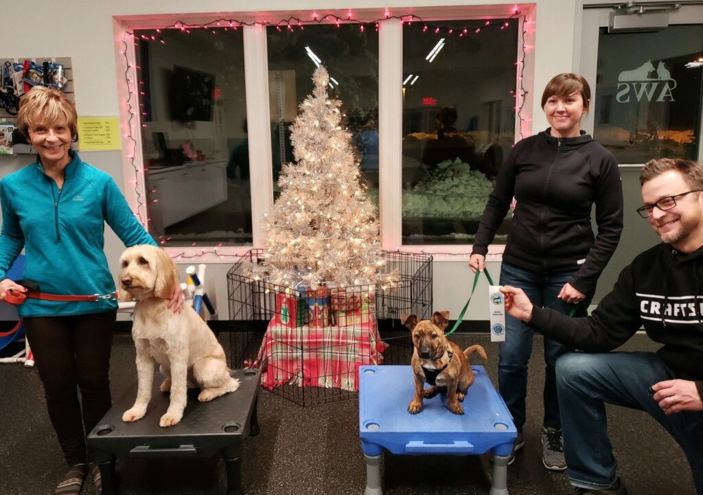People pose with their dogs in front of a Christmas tree with graduation ribbons.