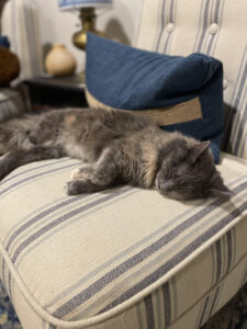 A grey cat lays sleeping on a striped chair in her home.
