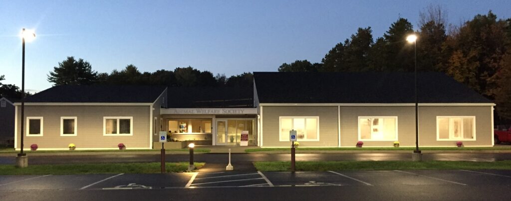 photograph of AWS at night 