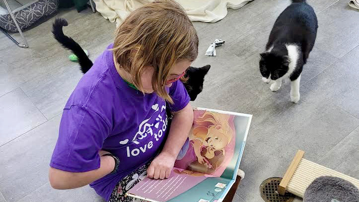 A young girl sits on the floor and reads a book to two cats.