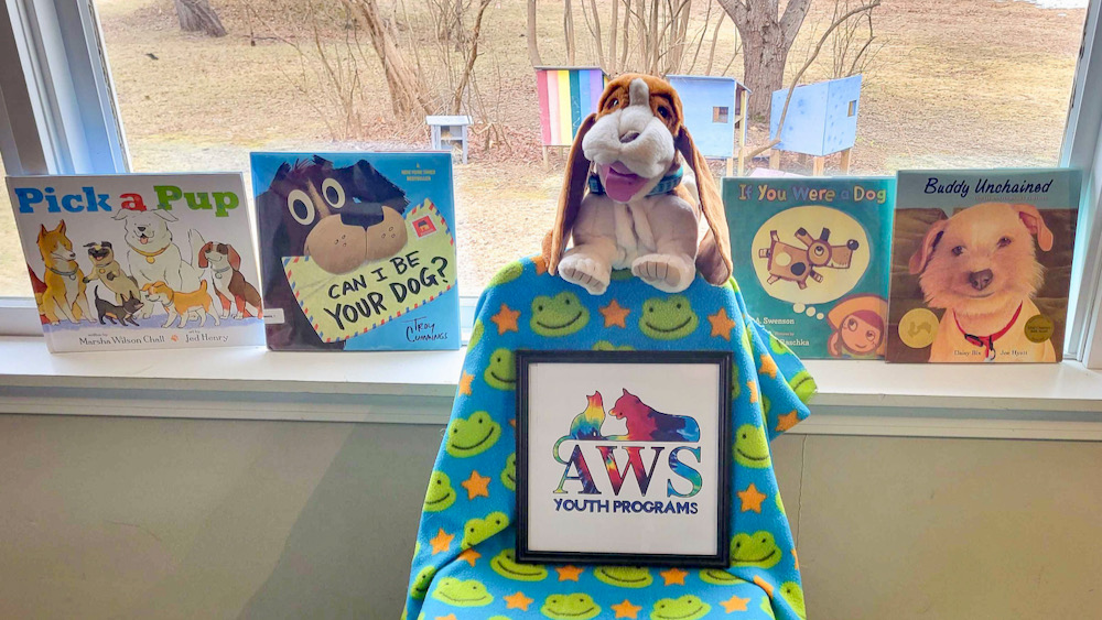 A stuffed animal dog sits on a chair surrounded by books in the Youth Programs classroom.