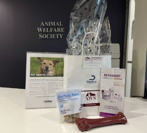 white bag with pet dental health products sitting on counter in Veterinary Clinic