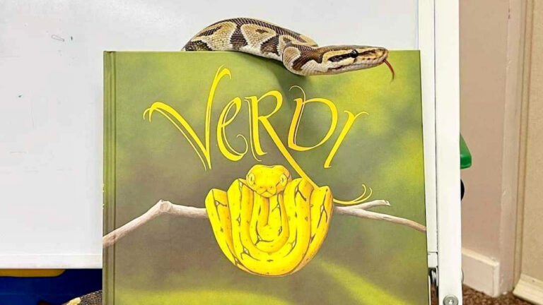 A snake wraps around a children's book about snakes during Furry Tales.