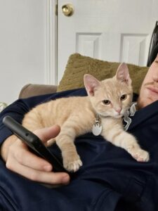 An orange kitten sits on the chest of his new owner as one of our Happy Homes stories.