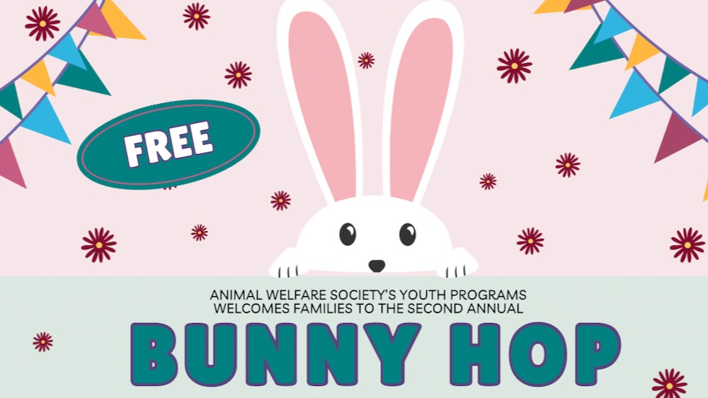 A colorful springtime banner for AWS' annual Bunny Hop event.
