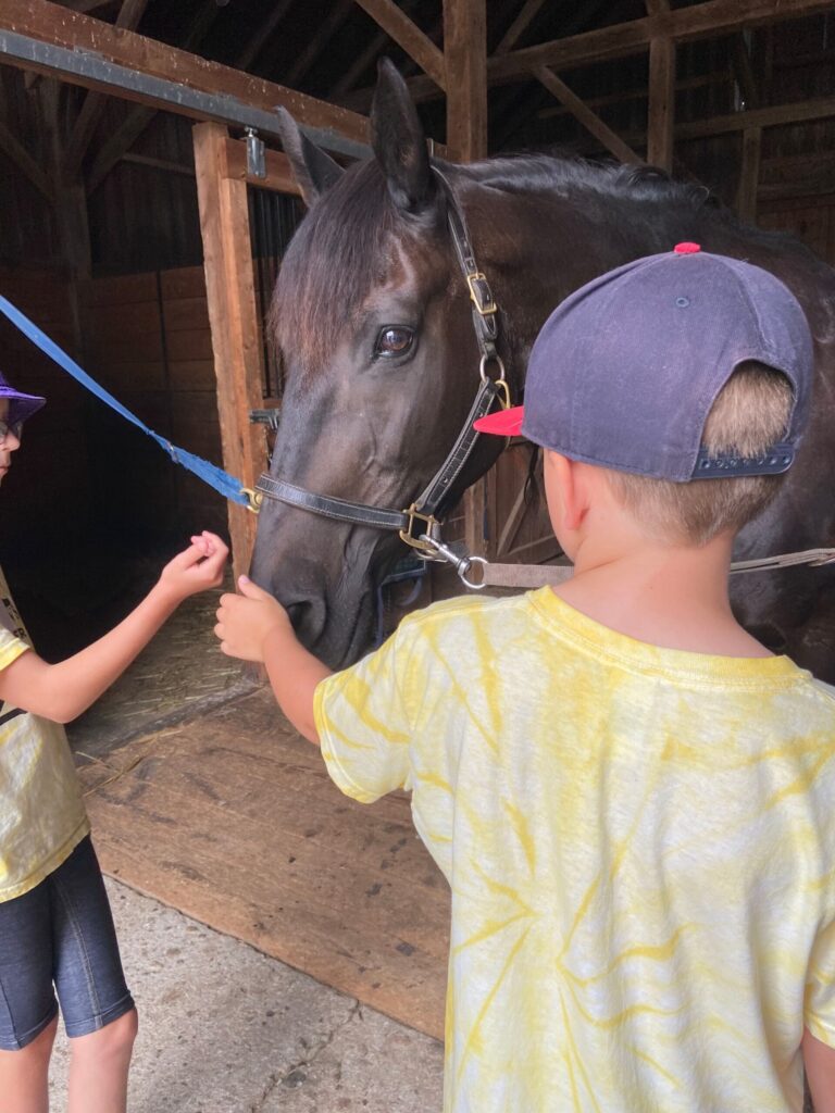A child in AWS' Summer Camp pets a horse