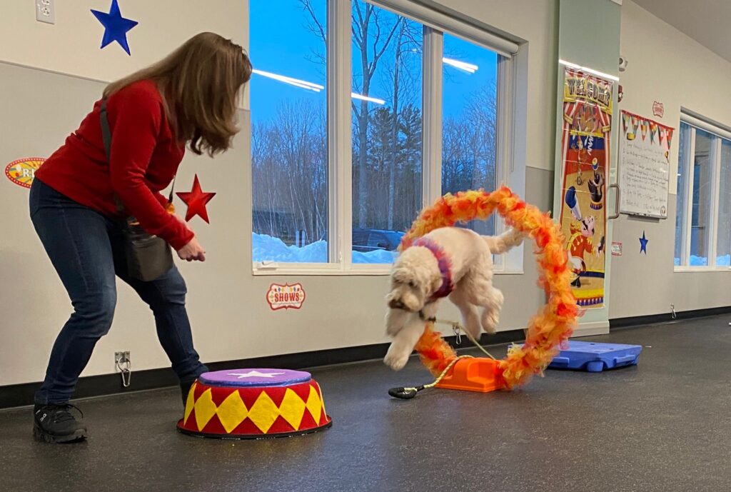 A woman guides her dog through a hoop during Circus Dog Class.