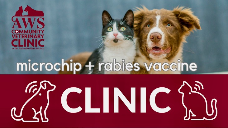 Microchip + Rabies Vaccine Clinic