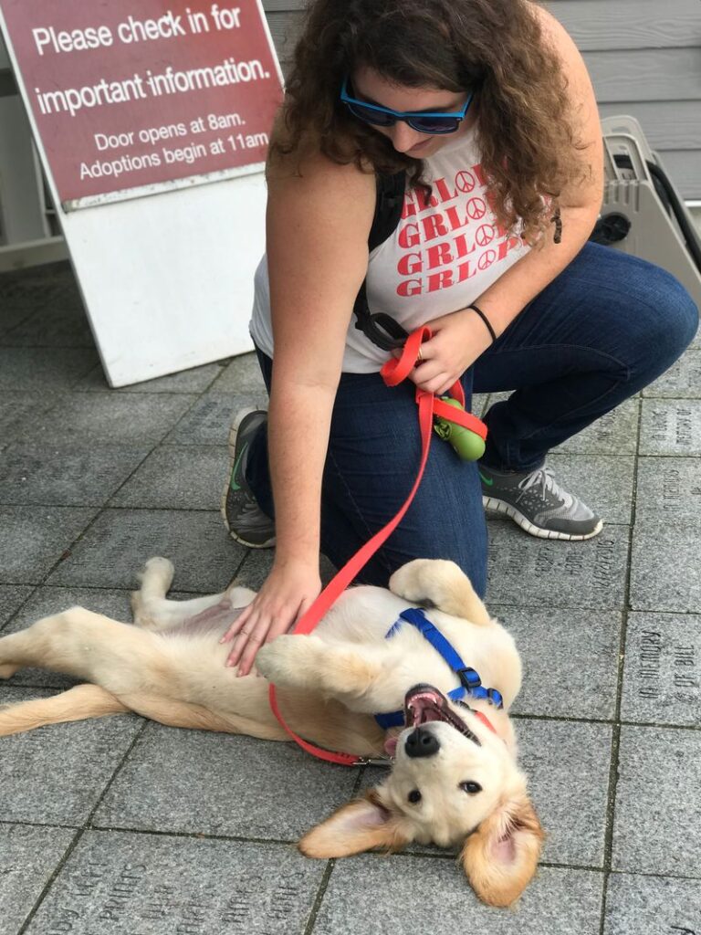 Woman rubs a puppy's belly outside the AWS building