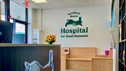 Southern Maine Hospital for Small Mammals