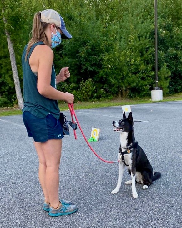 Woman stands in front of a dog during training class giving hand cues