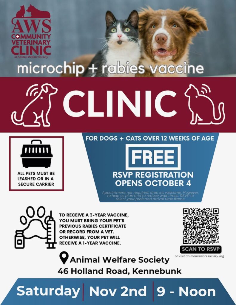 Flyer for AWS' microchip and rabies vaccine clinic taking place November 2 from 9 am - 12 noon at AWS in Kennebunk Maine.