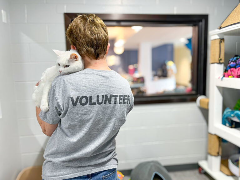 An AWS volunteer with their back to the camera holds a white cat up on their shoulder.