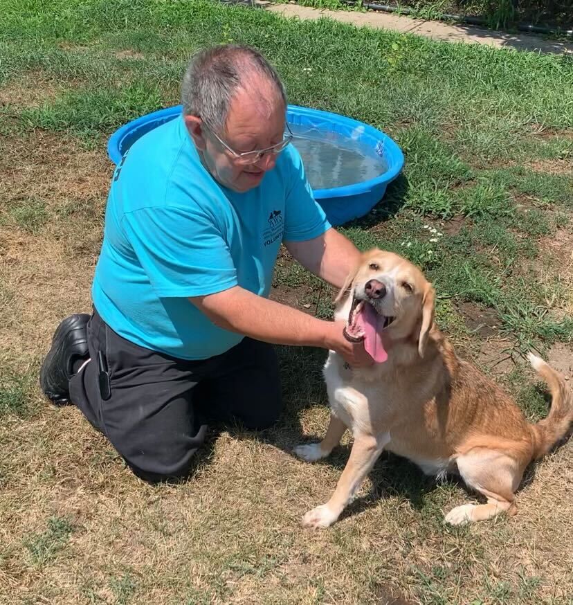 An AWS volunteer kneels on the ground to pet a dog that has its tongue out.