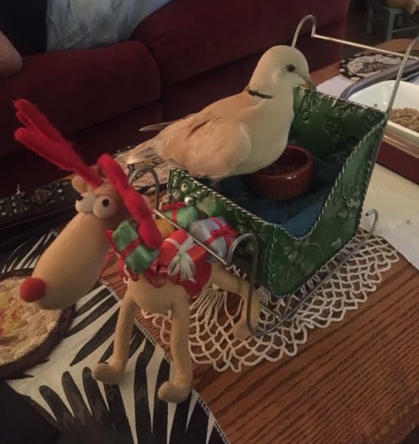 A white bird sits on top of a holiday basket.