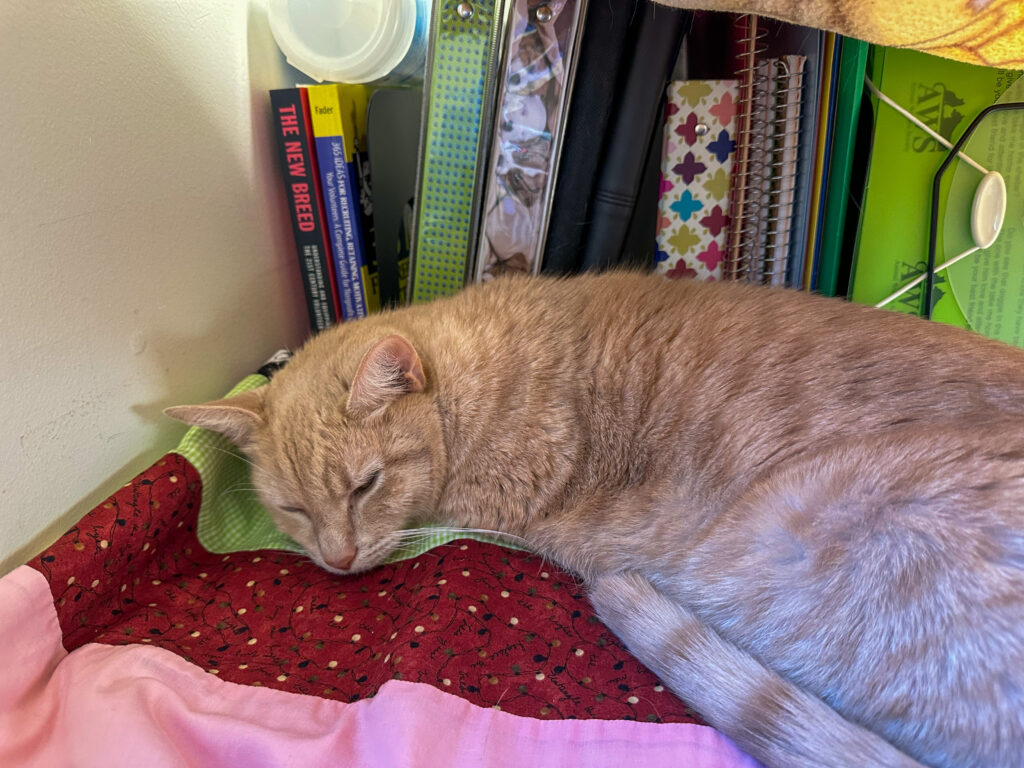 An orange cat sleeping on a blanket on top of a desk with books stacked behind it