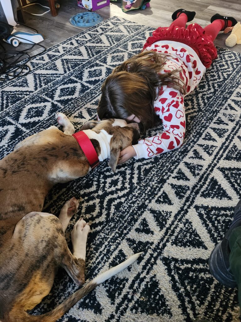 A young child lays on a carpet with a medium sized mixed breed dog named Maverick.