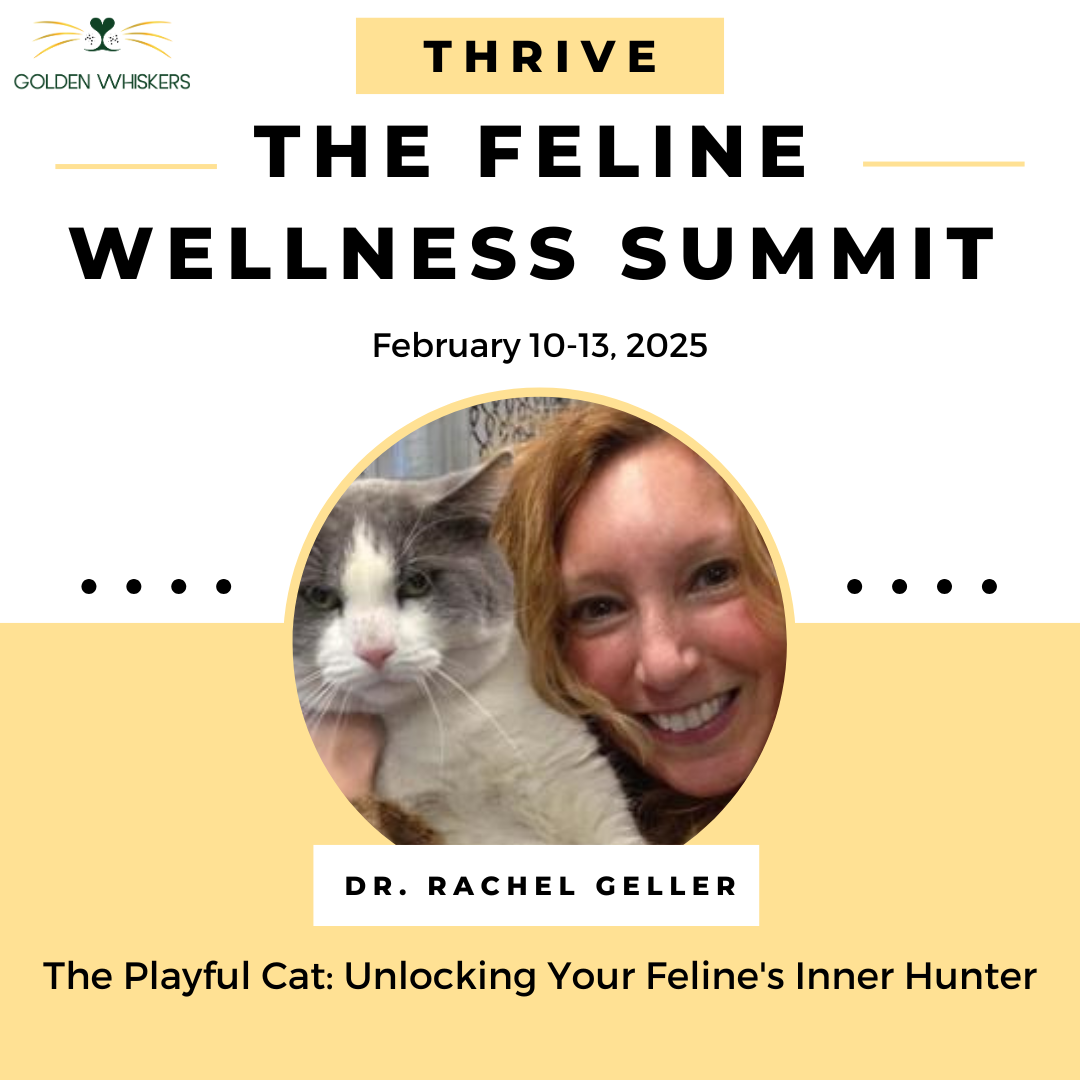 Keep Your Cats Healthy and Happy With Dr. Rachel Geller