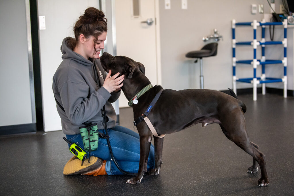 Link, a black and large mixed breed dog, shares his affectionate with an AWS staff member.