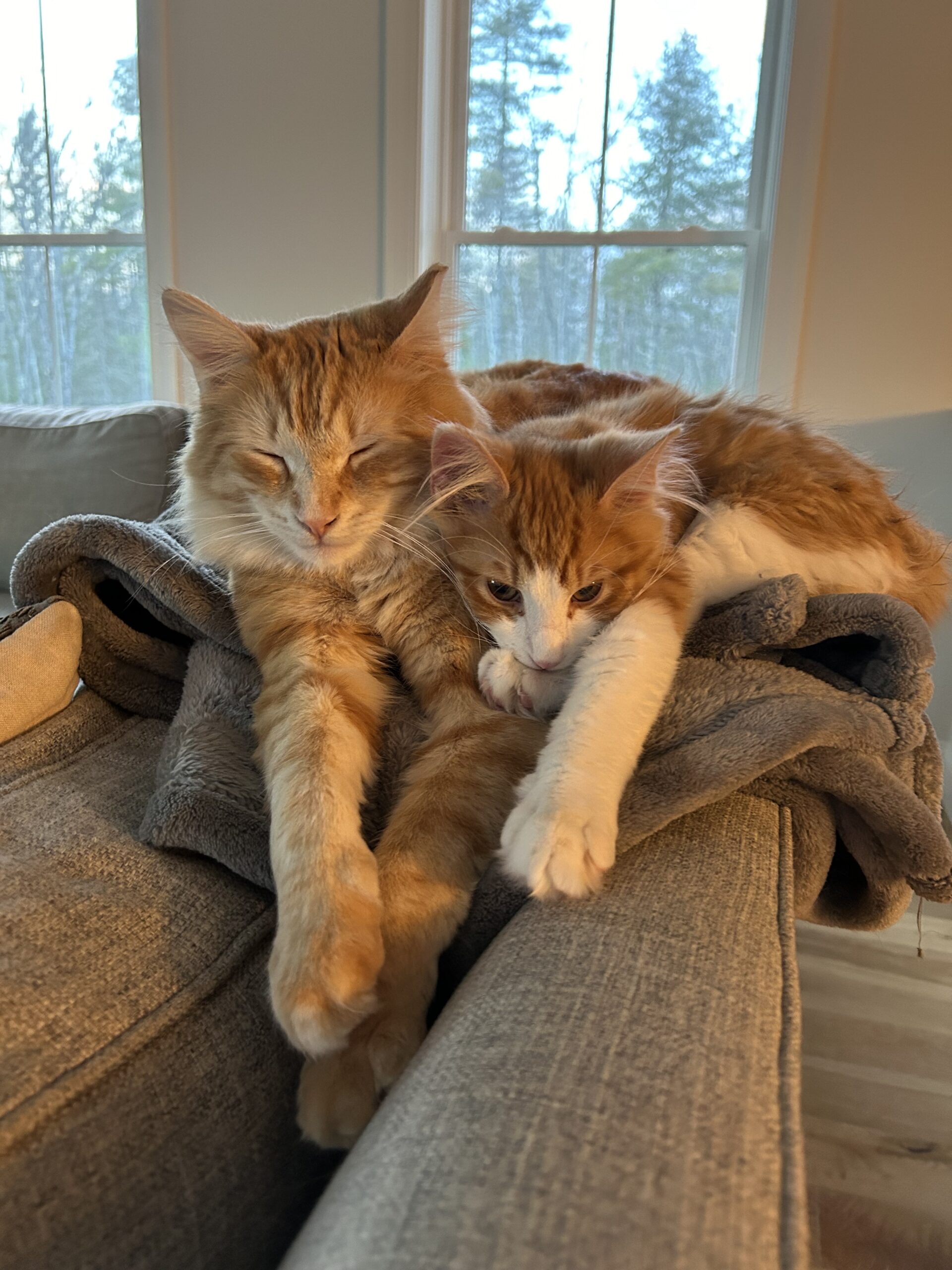 Pumpkin & Bruce now Rory & Rexi