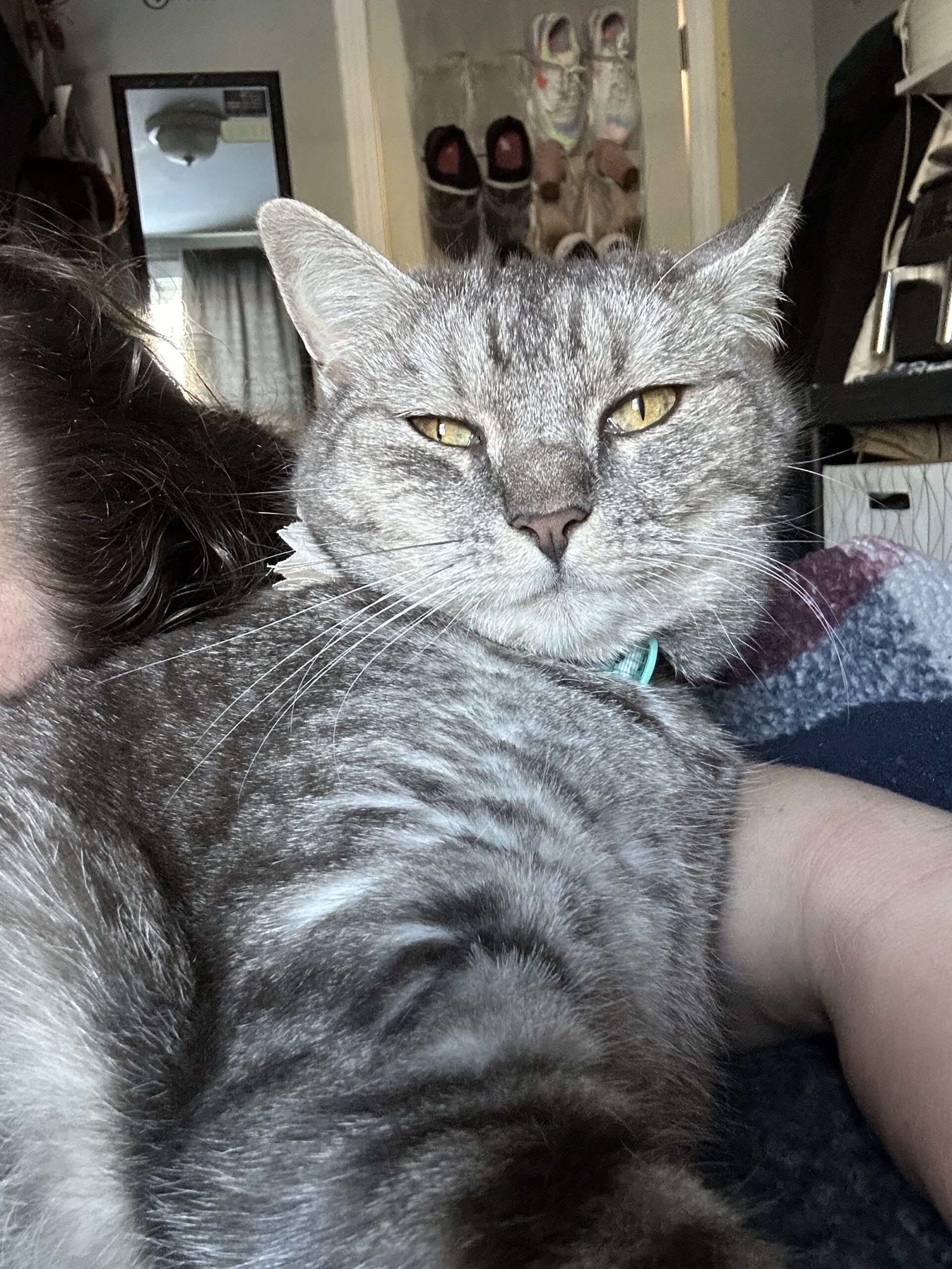 Evian now Luna