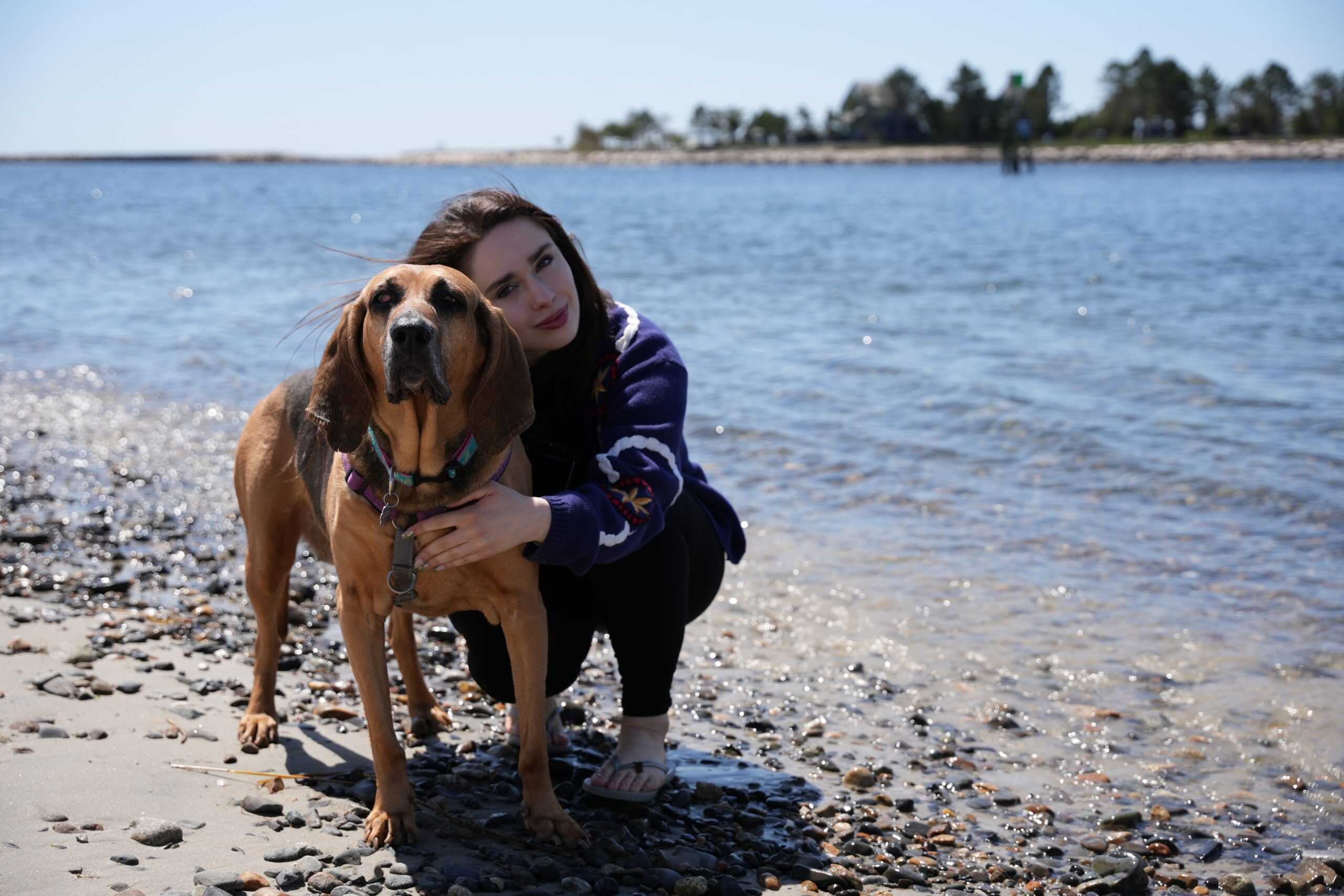 Summer of Fun at AWS: Foster a Pet
