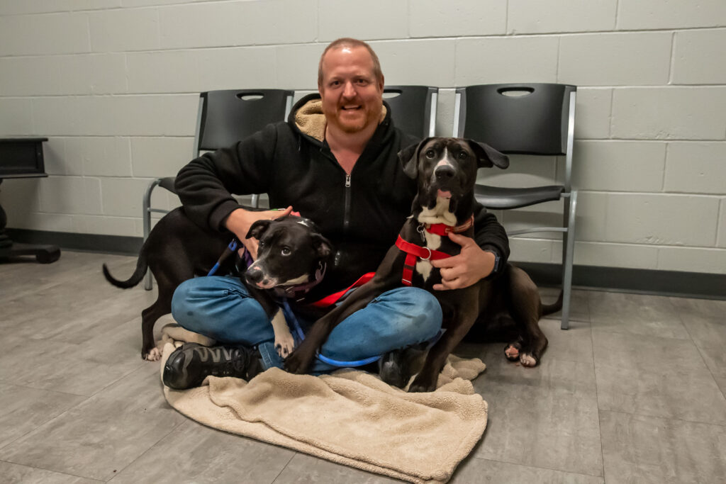 Cosmo, left, and Rigs, right, share their brotherly love by snuggling an AWS Adoption Counselor