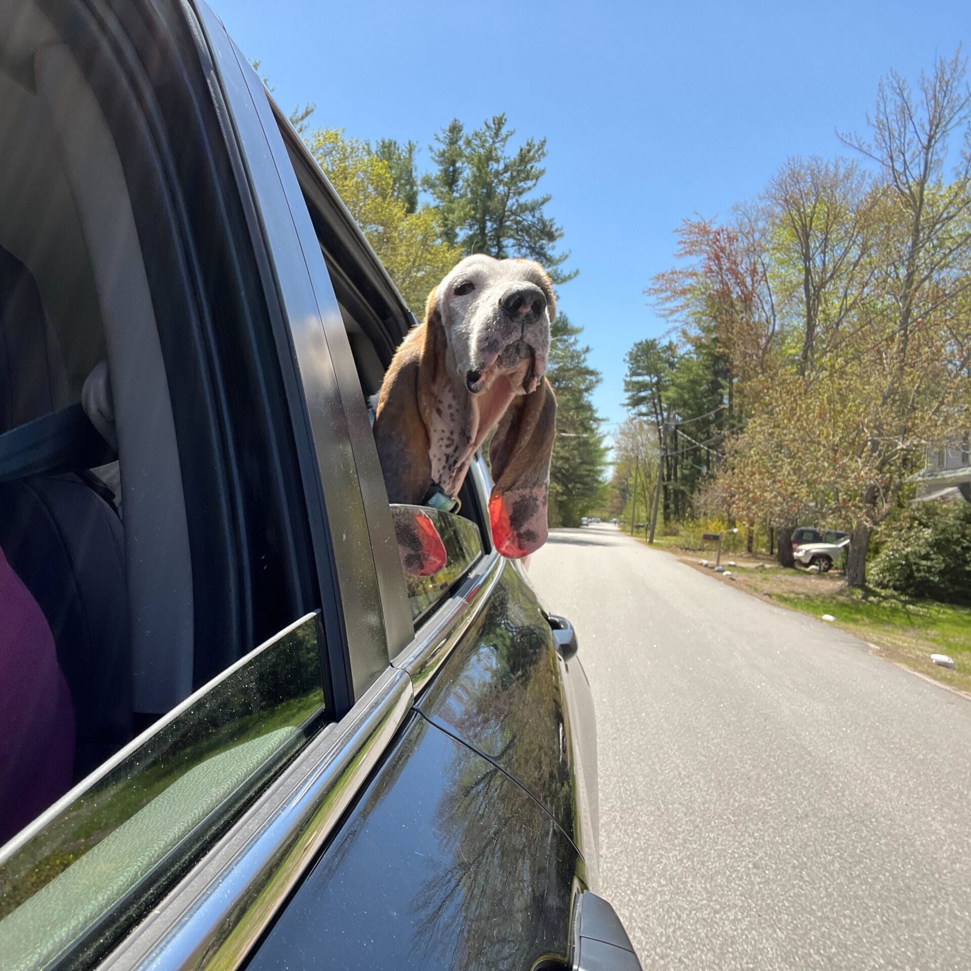 Hit the Road with Jake