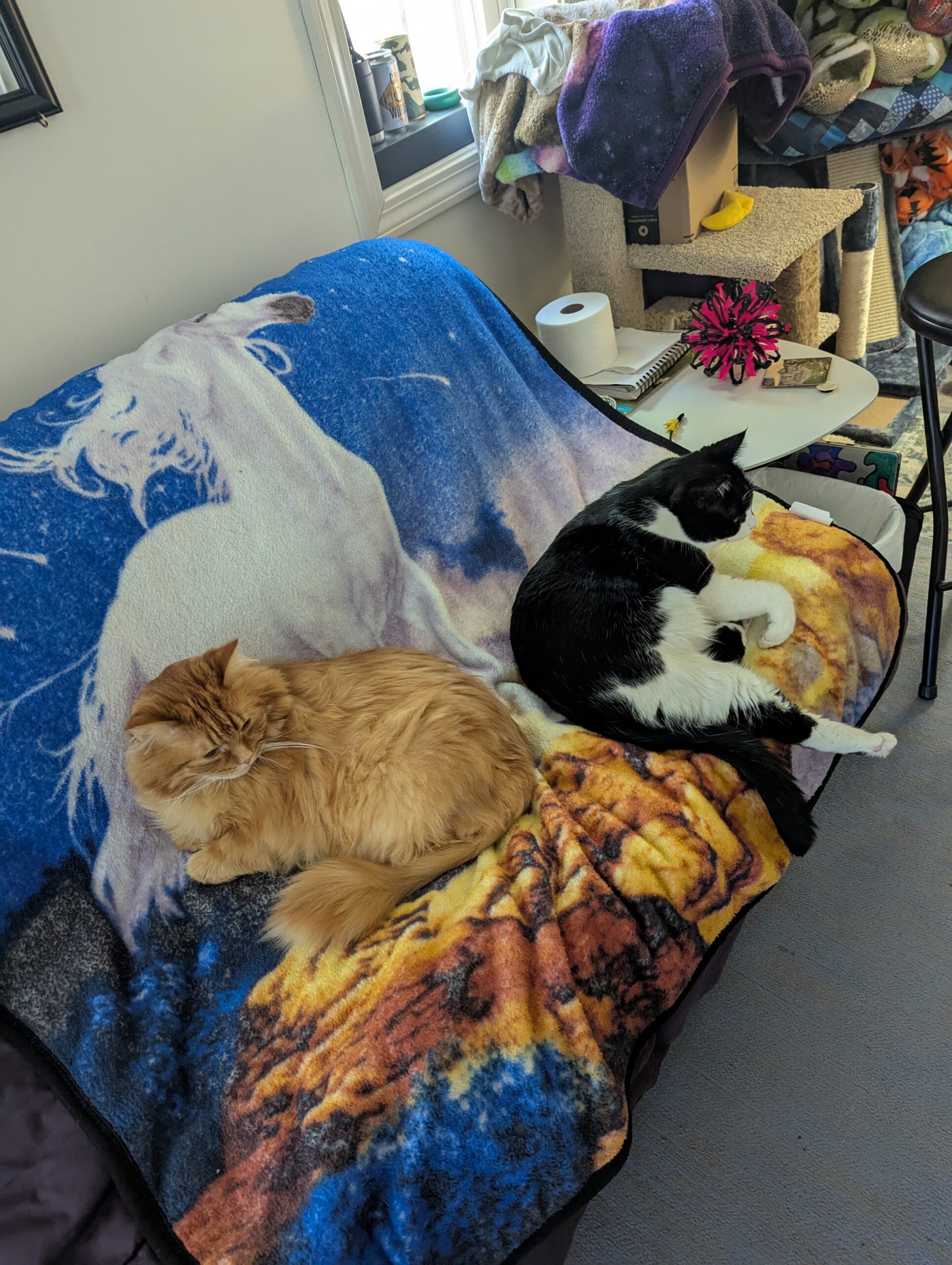 Milo and Louie