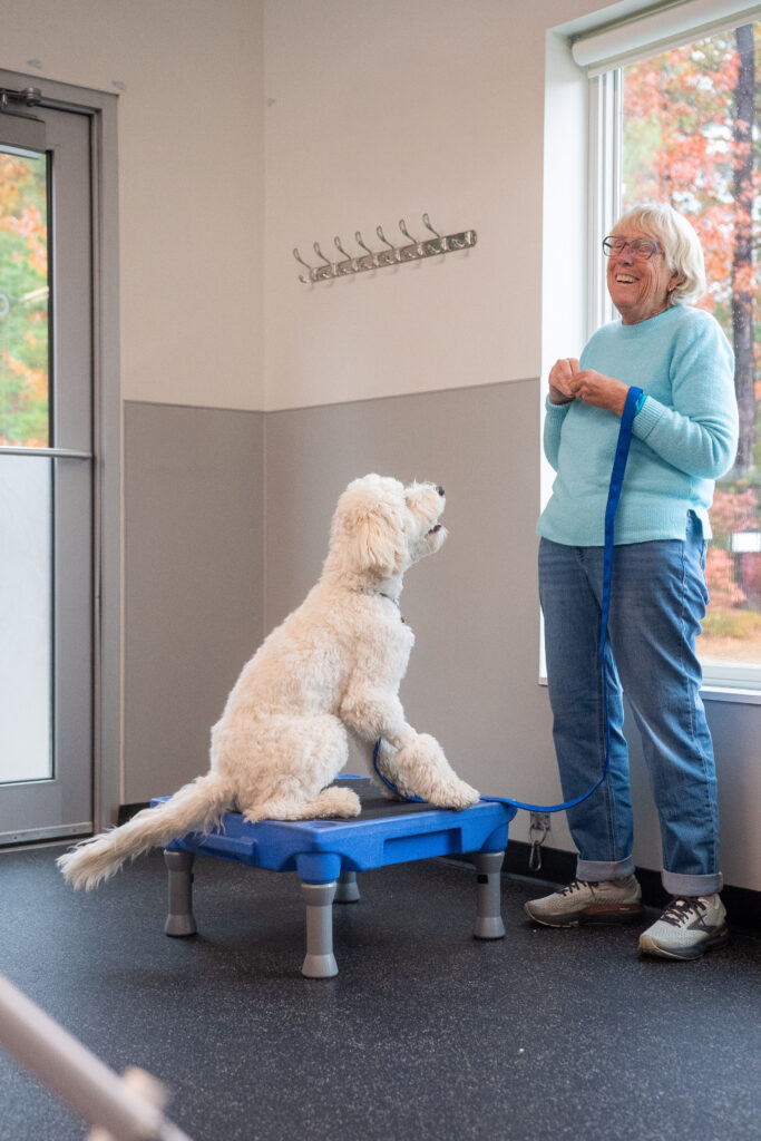 AWS Canine Training program offers group classes and personal training in Southern Maine. Like this dog and their owner smiling having a good time.