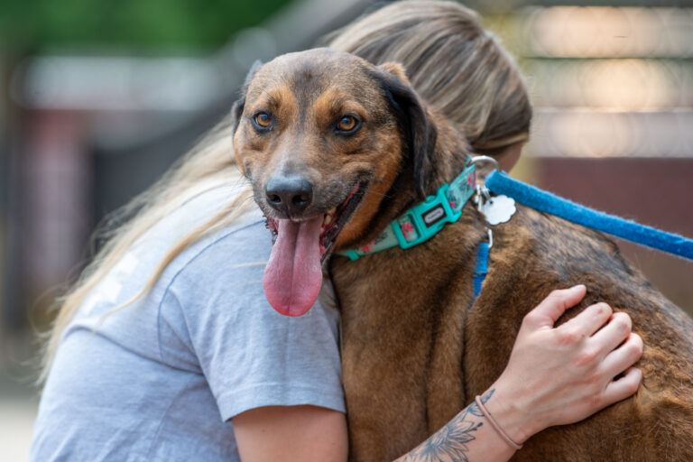 An AWS staff member hugs a dog that's looking directly at the camera.