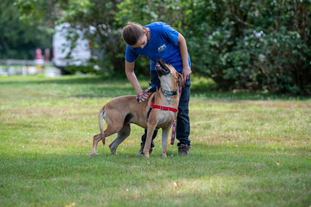 Join Maggie the very friendly and affectionate dog at Woofstock!